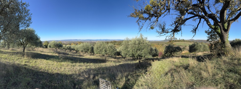 Happiness is directly connected to gratitude