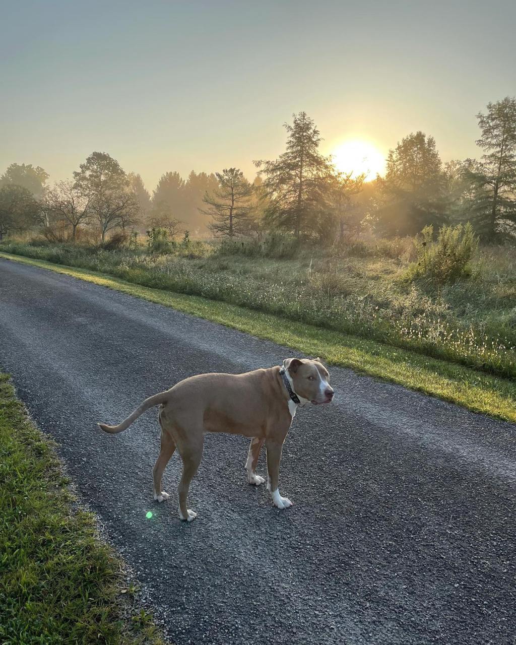 It was a dark and stormy night…