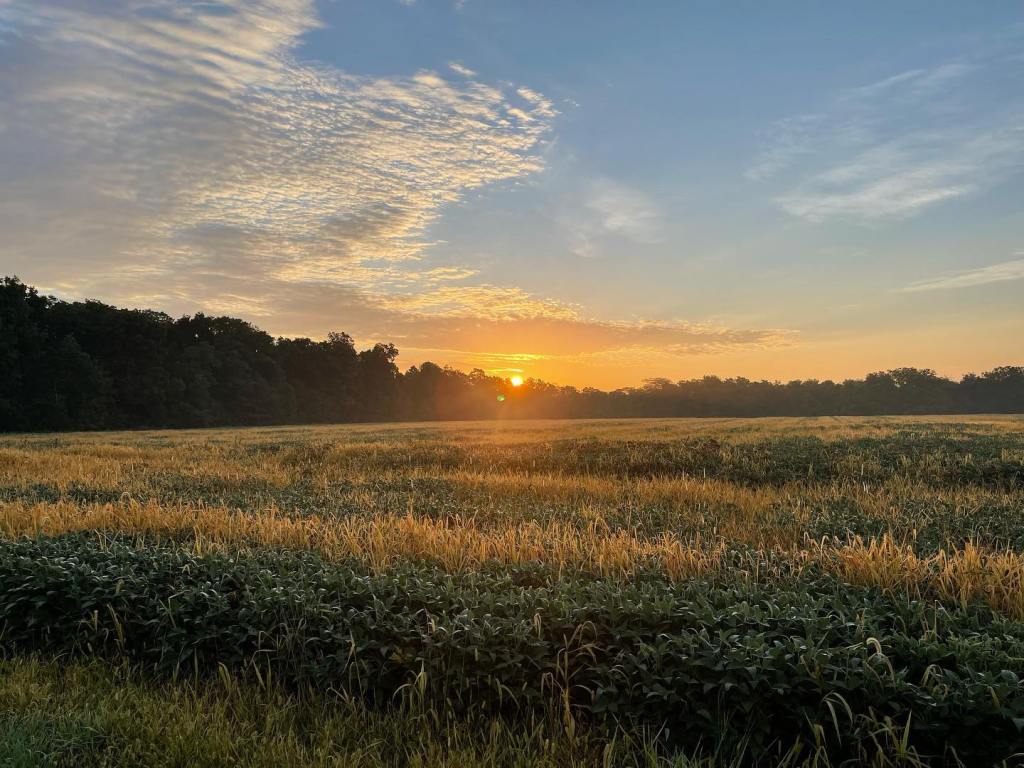 Love and expectations