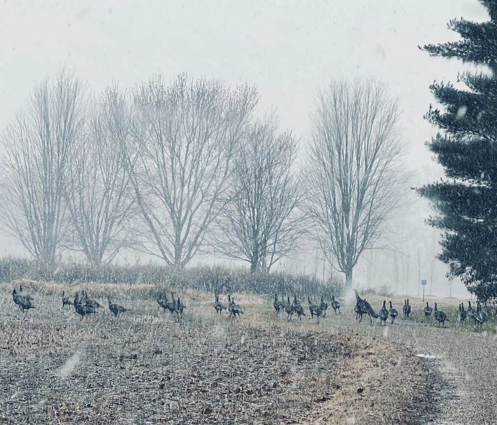 When feelings returned