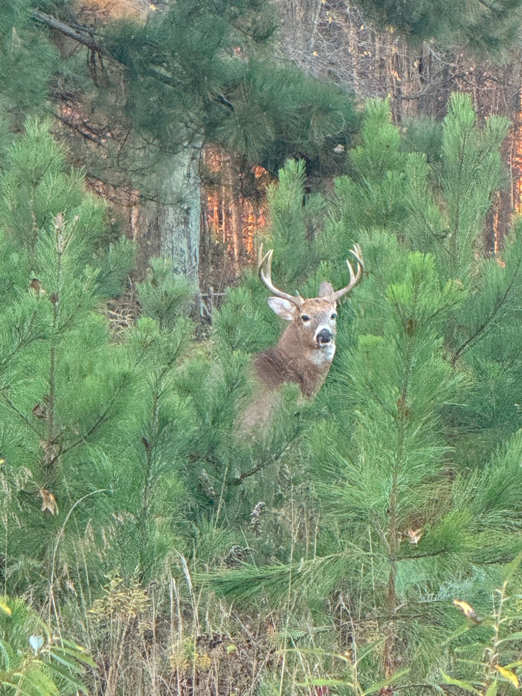 The Morning Knock on my Bathroom&nbsp;Door