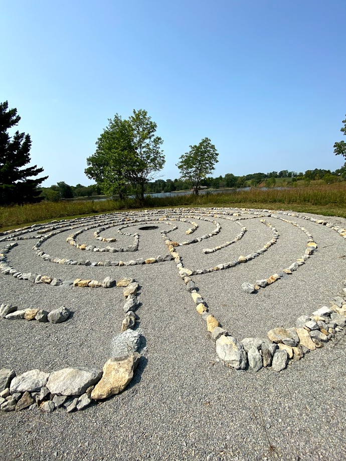 How helping others helps me&nbsp;recover