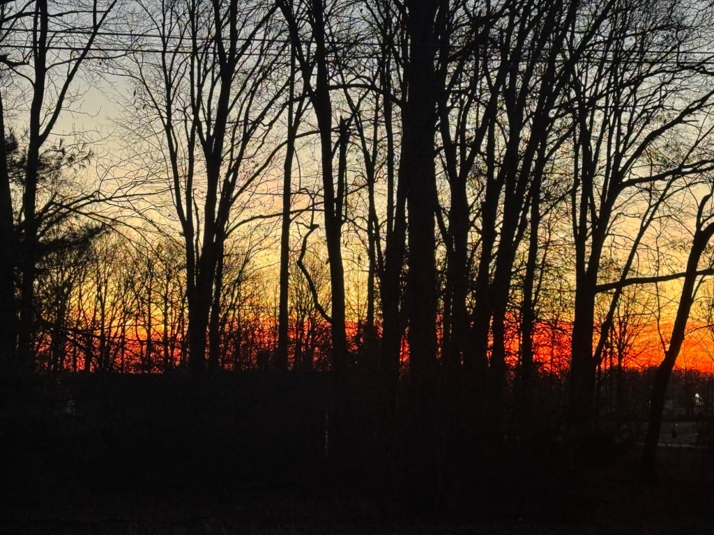 The problems with&nbsp;desire.