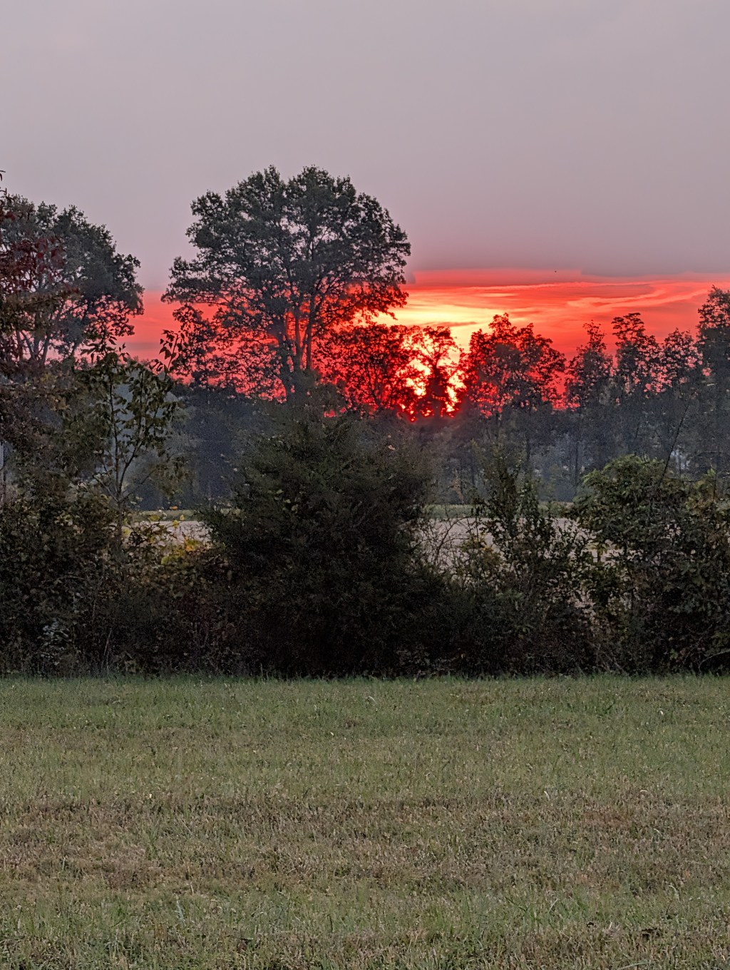 Sunrise